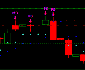 forex szkolenia darmowe